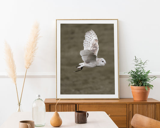 Filmposter | Fotografie | 3er