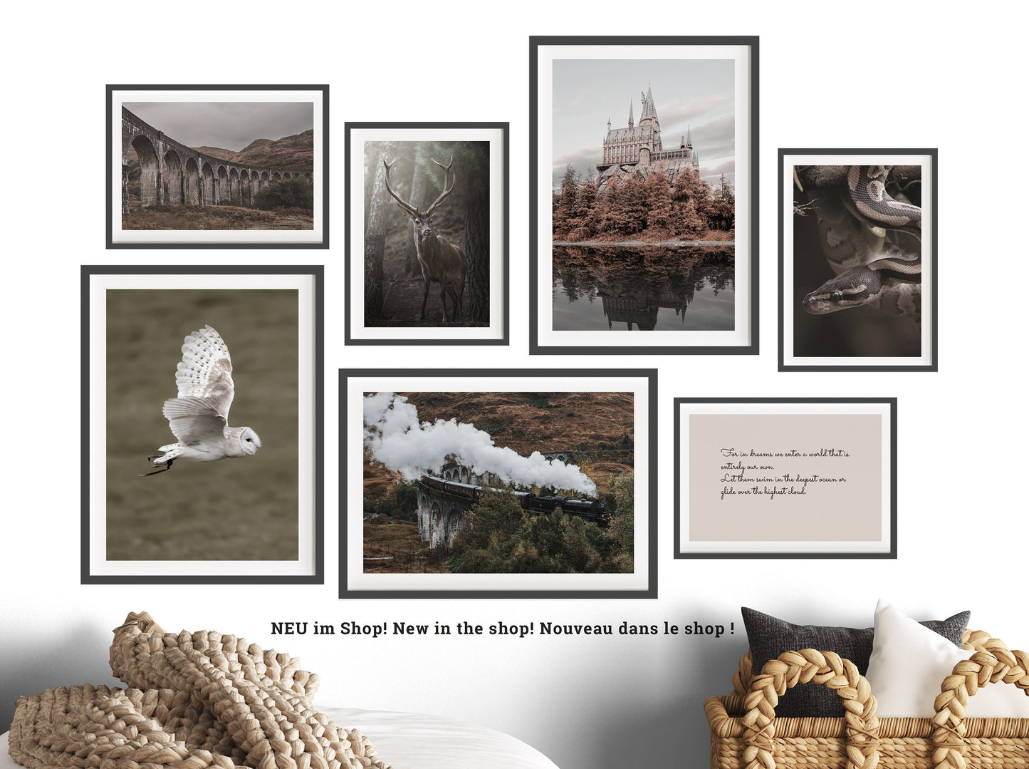 Hedwig | Name | Magic School | 3-piece