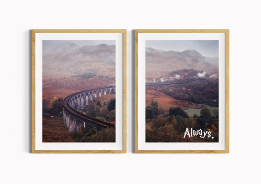 Potter | Express | 2-pack