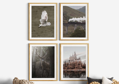 Filmposter | Fotografie | 4er