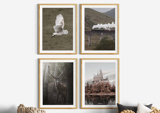 Filmposter | Fotografie | 4er