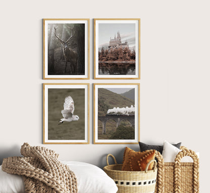 Filmposter | Fotografie | 4er