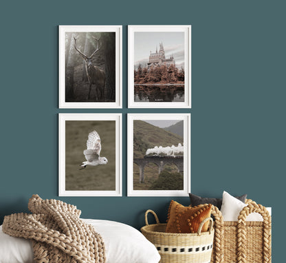 Filmposter | Fotografie | 4er