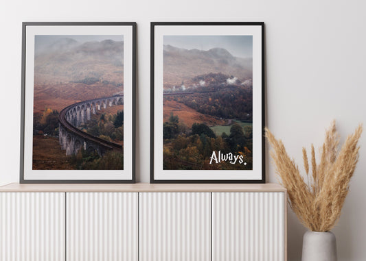 Potter | Express | 2-pack