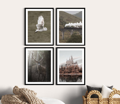 Filmposter | Fotografie | 4er